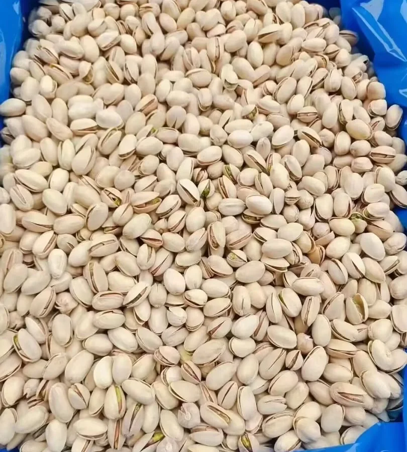 Bulk pistachios in shell from Nasirabad Group's supplied product photography